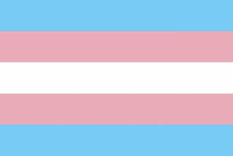 transgender flag